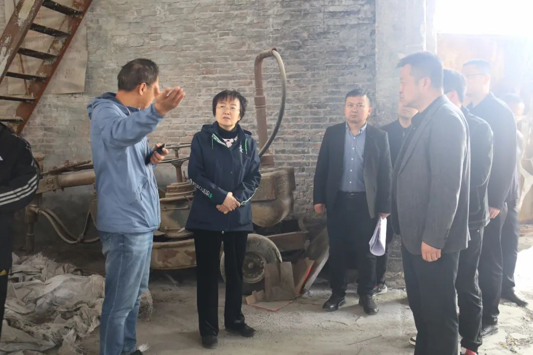 李亚莉调研绿色铸造产业园建设工作