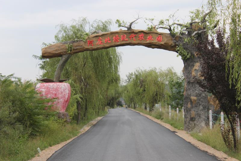 阿庄2.jpg 阿庄2.jpg