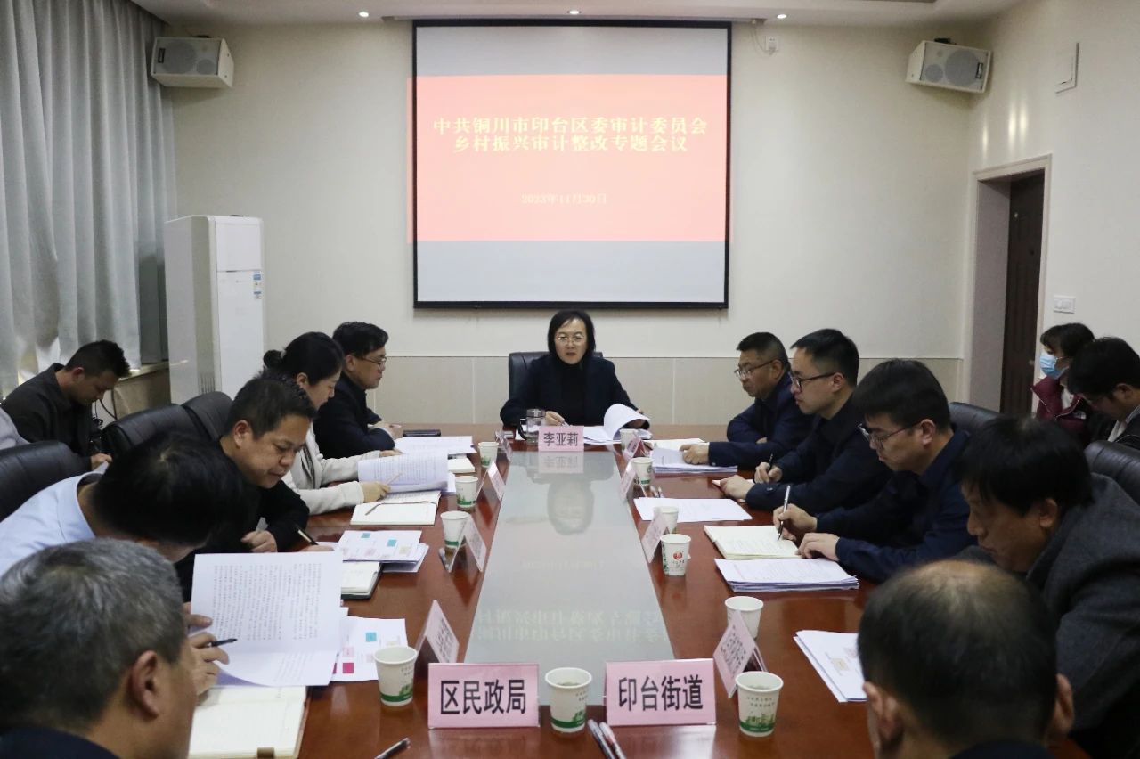 印台区召开乡村振兴审计整改专题会议